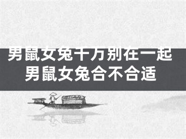 男鼠女兔千万别在一起男鼠女兔合不合适
