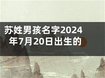 苏姓男孩名字2024年7月20日出生的