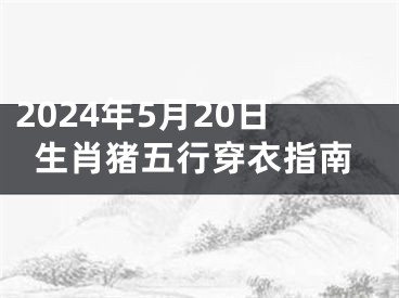 2024年5月20日生肖猪五行穿衣指南