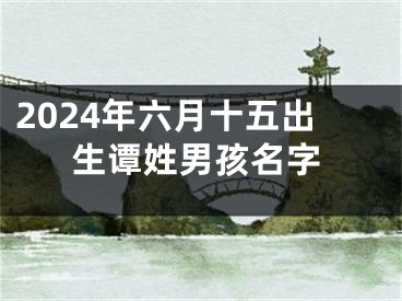 2024年六月十五出生谭姓男孩名字