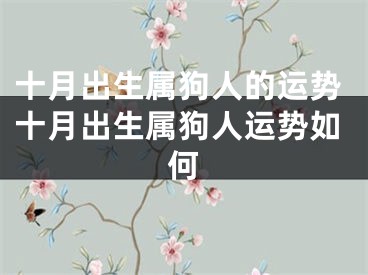 十月出生属狗人的运势十月出生属狗人运势如何