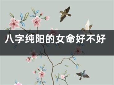 八字纯阳的女命好不好