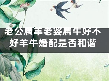 老公属羊老婆属牛好不好羊牛婚配是否和谐