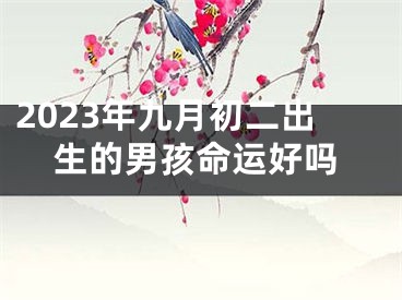 2023年九月初二出生的男孩命运好吗