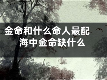 金命和什么命人最配 海中金命缺什么
