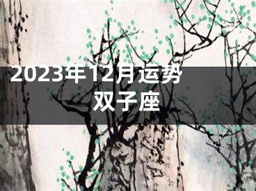 2023年12月运势双子座