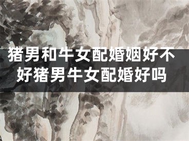 猪男和牛女配婚姻好不好猪男牛女配婚好吗