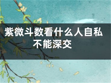 紫微斗数看什么人自私 不能深交