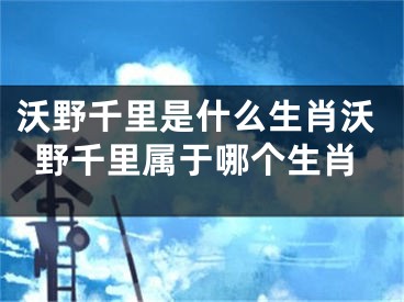 沃野千里是什么生肖沃野千里属于哪个生肖