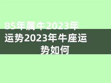 85年属牛2023年运势2023年牛座运势如何