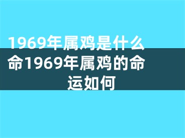1969年属鸡是什么命1969年属鸡的命运如何