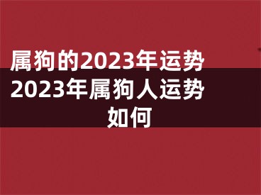 属狗的2023年运势2023年属狗人运势如何