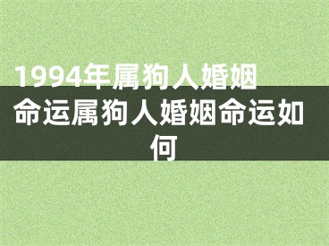 1994年属狗人婚姻命运属狗人婚姻命运如何