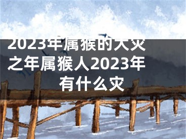 2023年属猴的大灾之年属猴人2023年有什么灾