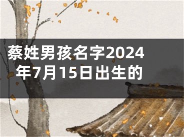蔡姓男孩名字2024年7月15日出生的