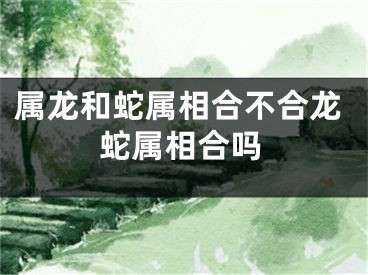 属龙和蛇属相合不合龙蛇属相合吗