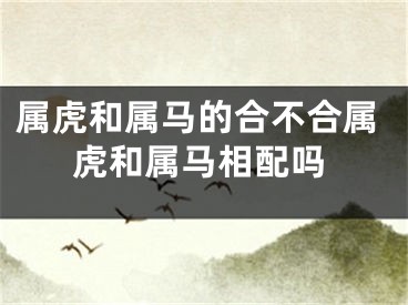 属虎和属马的合不合属虎和属马相配吗
