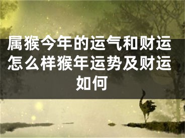 属猴今年的运气和财运怎么样猴年运势及财运如何