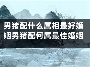 男猪配什么属相最好婚姻男猪配何属最佳婚姻