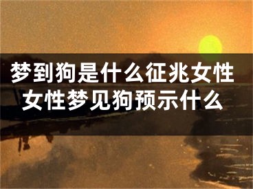 梦到狗是什么征兆女性女性梦见狗预示什么