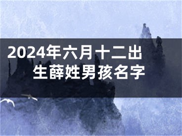 2024年六月十二出生薛姓男孩名字