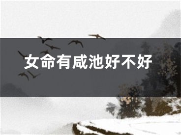 女命有咸池好不好