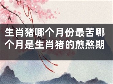 生肖猪哪个月份最苦哪个月是生肖猪的煎熬期