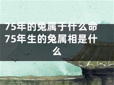 75年的兔属于什么命75年生的兔属相是什么
