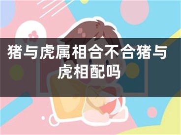 猪与虎属相合不合猪与虎相配吗