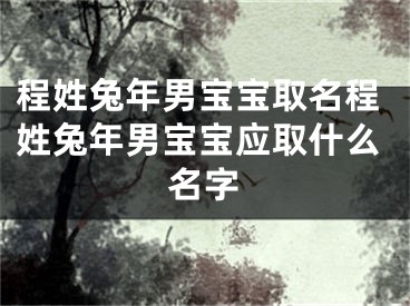 程姓兔年男宝宝取名程姓兔年男宝宝应取什么名字