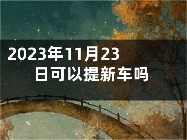 2023年11月23日可以提新车吗