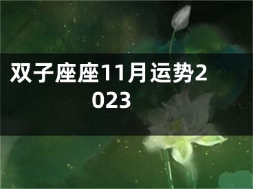 双子座座11月运势2023