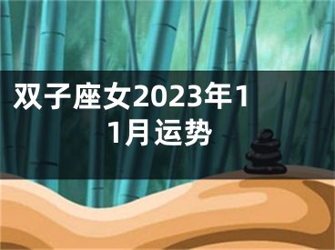 双子座女2023年11月运势