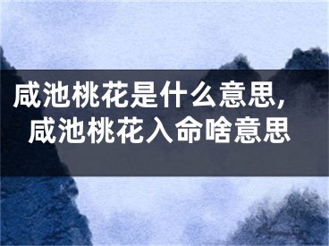 咸池桃花是什么意思,咸池桃花入命啥意思