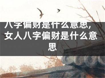 八字偏财是什么意思,女人八字偏财是什么意思