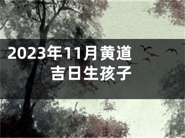 2023年11月黄道吉日生孩子