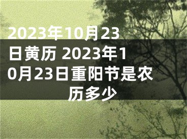 2023年10月23日黄历 2023年10月23日重阳节是农历多少