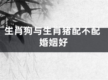 生肖狗与生肖猪配不配婚姻好