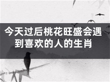今天过后桃花旺盛会遇到喜欢的人的生肖