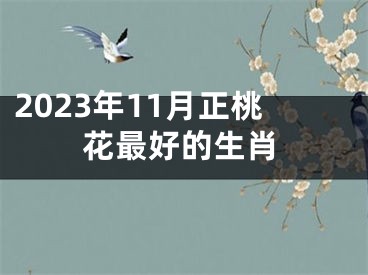 2023年11月正桃花最好的生肖