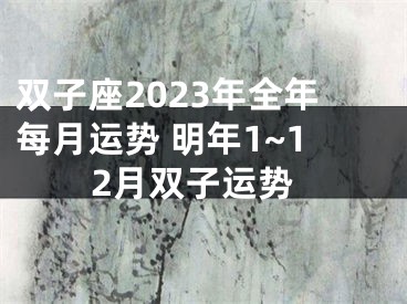 双子座2023年全年每月运势 明年1~12月双子运势