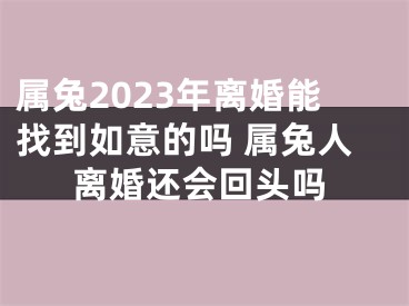 属兔2023年离婚能找到如意的吗 属兔人离婚还会回头吗