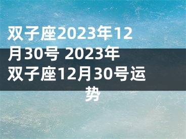 双子座2023年12月30号 2023年双子座12月30号运势