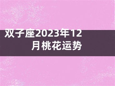 双子座2023年12月桃花运势