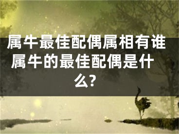 属牛最佳配偶属相有谁 属牛的最佳配偶是什么?