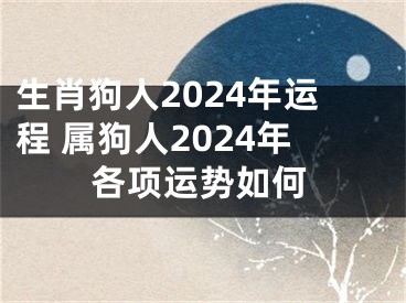 生肖狗人2024年运程 属狗人2024年各项运势如何