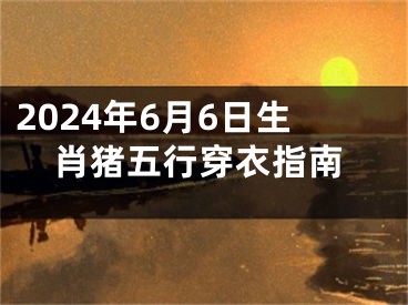 2024年6月6日生肖猪五行穿衣指南