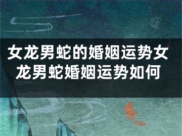女龙男蛇的婚姻运势女龙男蛇婚姻运势如何