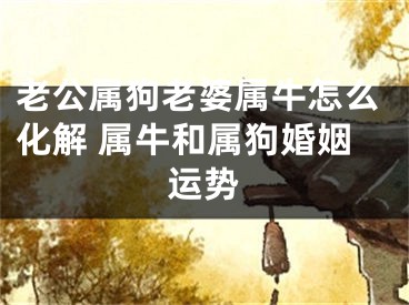 老公属狗老婆属牛怎么化解 属牛和属狗婚姻运势