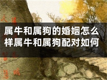 属牛和属狗的婚姻怎么样属牛和属狗配对如何